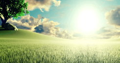 Gary Zhang: From Hunting to Farming: How Investing Is Changing in the Digital Age